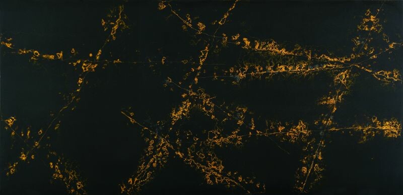 SI-611｜璀璨金 Noir Aureate